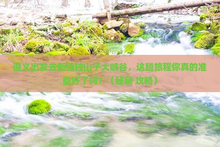 遵义去新疆独山子大峡谷必去地