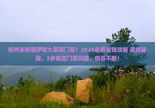 柳州去新疆伊犁大草原门票