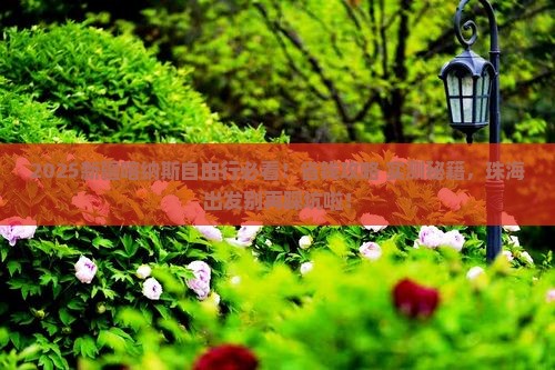珠海去新疆喀纳斯自由团