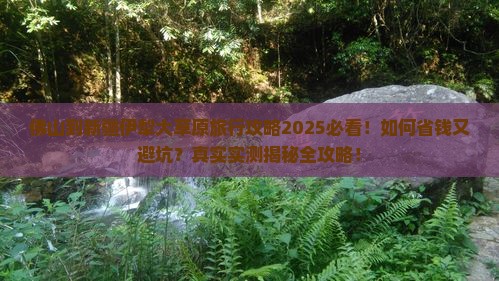 佛山到新疆伊犁大草原旅行社