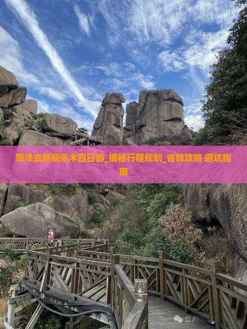 菏泽去新疆禾木四日游