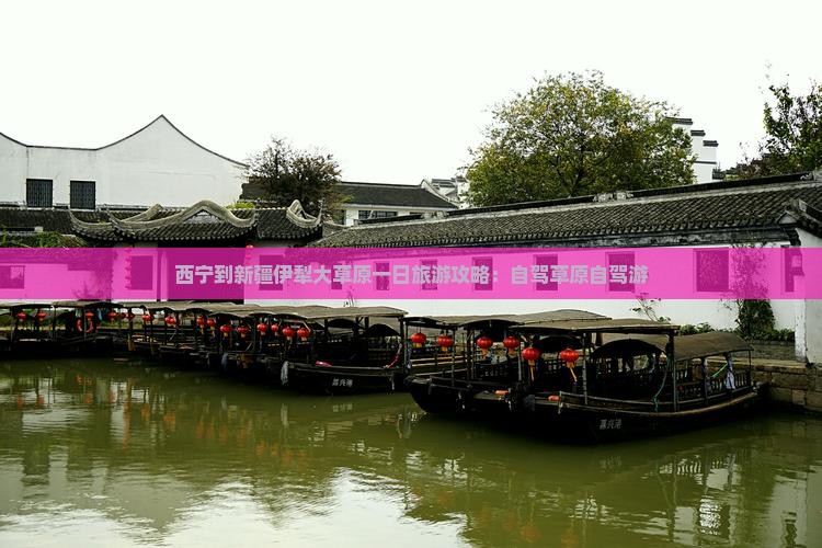西宁到新疆伊犁大草原一日