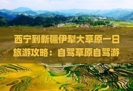 西宁到新疆伊犁大草原一日