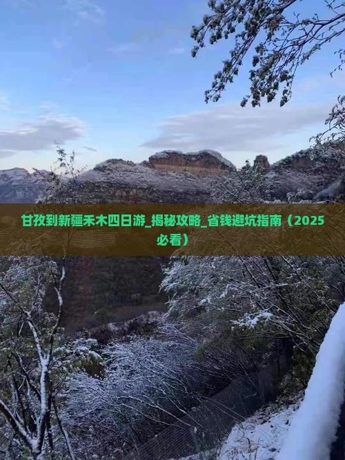 甘孜到新疆禾木四日游