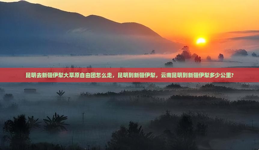 昆明去新疆伊犁大草原自由团