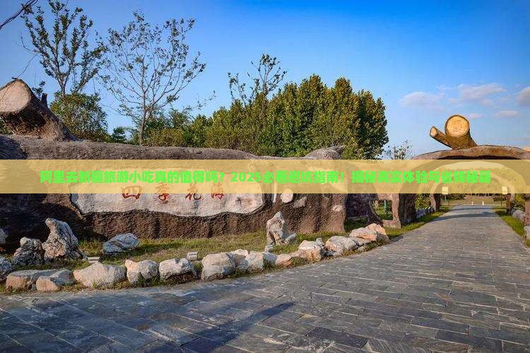 阿里去新疆旅游小吃