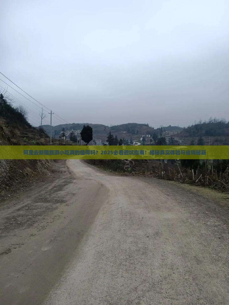 阿里去新疆旅游小吃