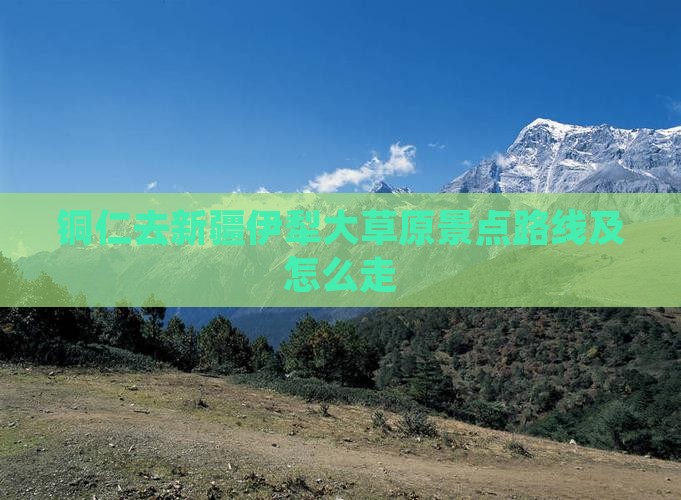 铜仁去新疆伊犁大草原景点