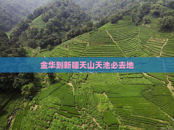 金华到新疆天山天池必去地