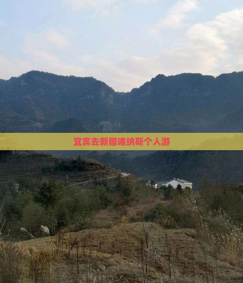 宜宾去新疆喀纳斯个人游