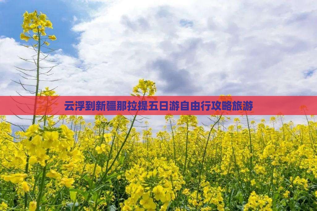 云浮到新疆那拉提五日游