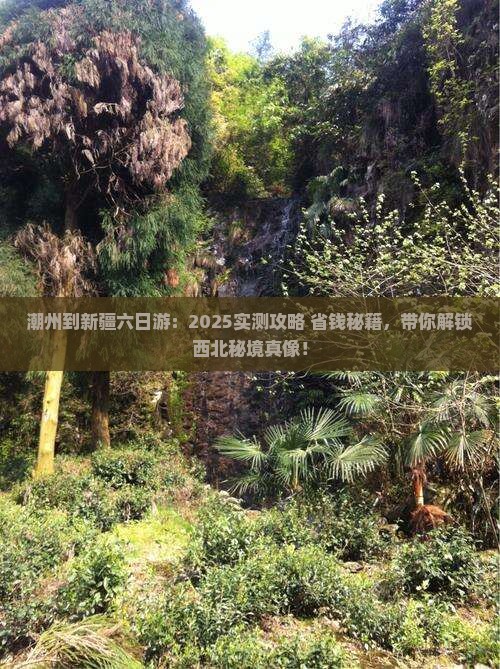 潮州到新疆六日游