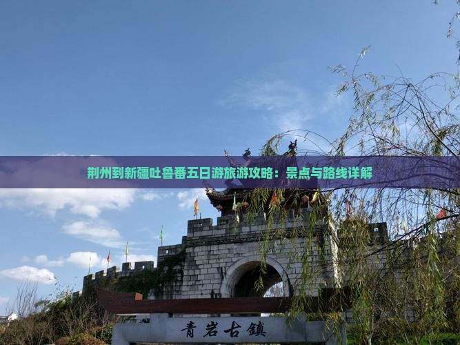 荆州到新疆吐鲁番五日游
