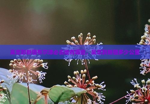 吴忠到新疆布尔津必去地