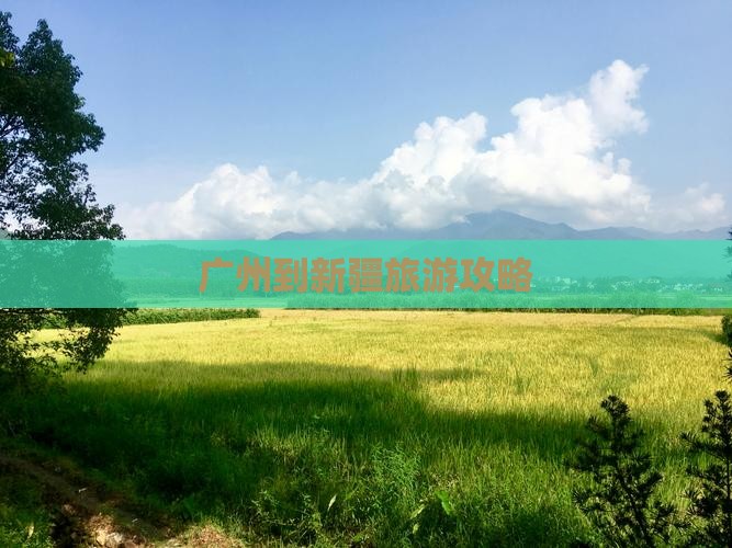 广州到新疆个人游