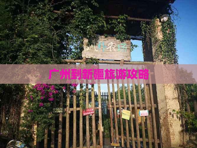 广州到新疆个人游