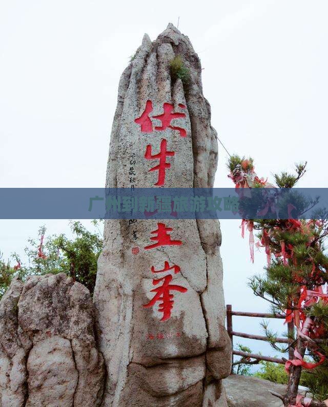 广州到新疆个人游