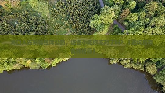 海口去新疆独库公路旅游小吃