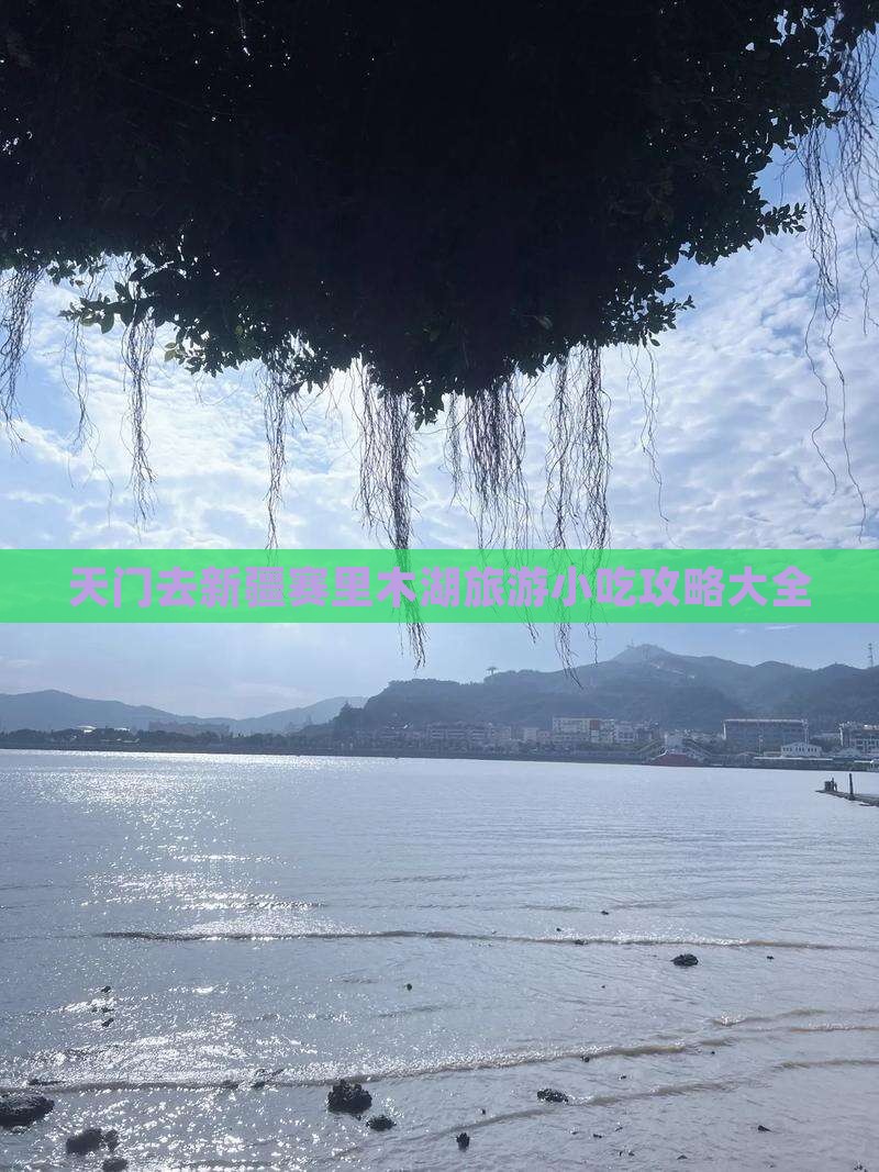 天门去新疆赛里木湖旅游小吃 天门去新疆赛里木湖旅游小吃