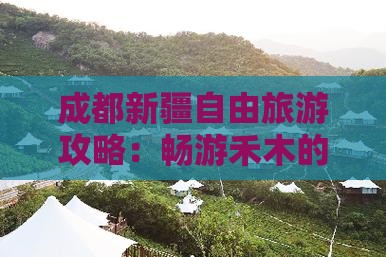 成都去新疆禾木自由团