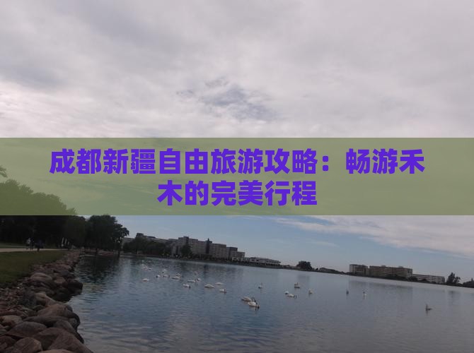 成都去新疆禾木自由团