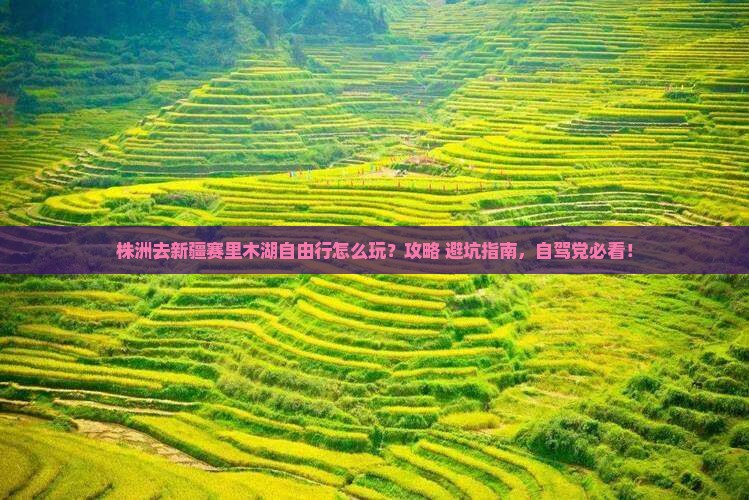 株洲去新疆赛里木湖自由行