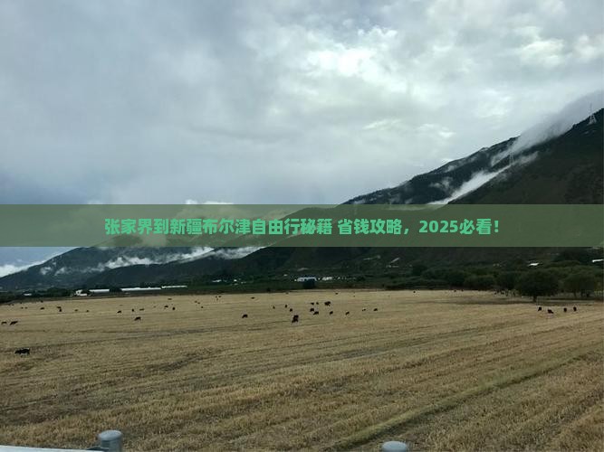 张家界到新疆布尔津自由团