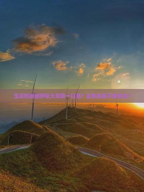 玉溪到新疆伊犁大草原一日