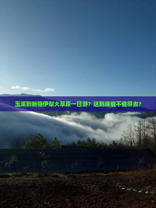 玉溪到新疆伊犁大草原一日