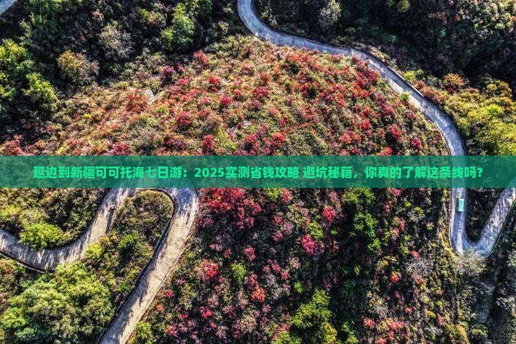 延边到新疆可可托海七日游