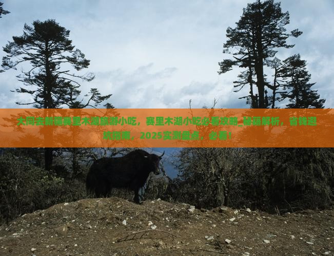 大同去新疆赛里木湖旅游小吃