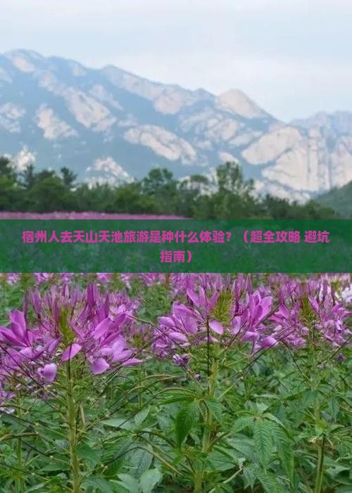 宿州去新疆天山天池大型旅游团
