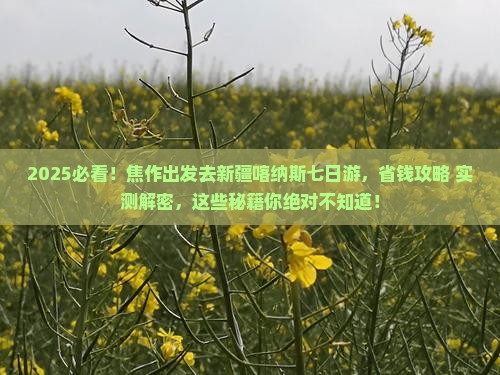 焦作去新疆喀纳斯七日游