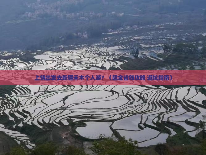 上饶去新疆禾木个人游