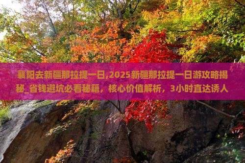 襄阳去新疆那拉提一日