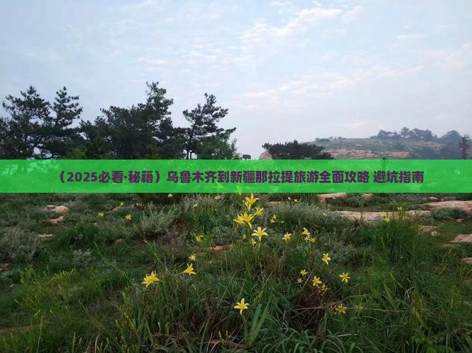 乌鲁木齐去新疆那拉提攻略