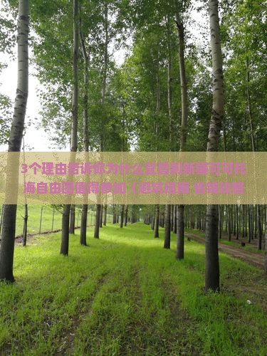 宜昌到新疆可可托海自由团