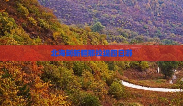 北海到新疆那拉提四日游