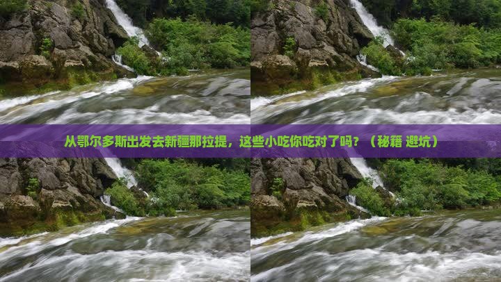 鄂尔多斯去新疆那拉提旅游小吃