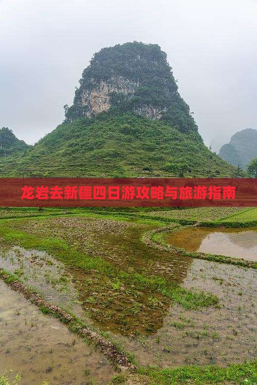 龙岩去新疆四日游