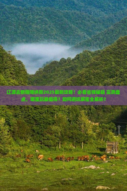 辽源去新疆喀纳斯哪里玩