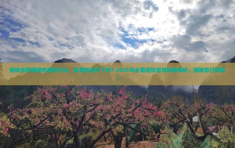 榆林去新疆喀纳斯旅行社
