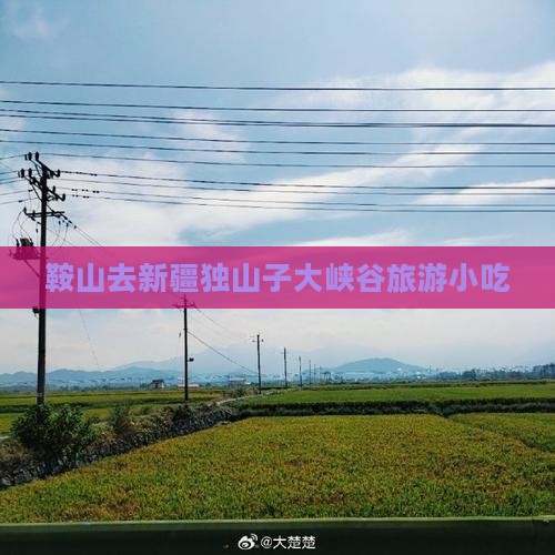 鞍山去新疆独山子大峡谷旅游小吃