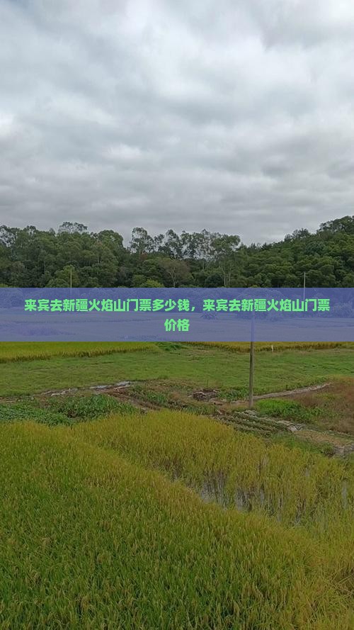 来宾去新疆火焰山门票