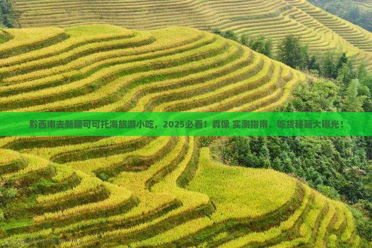 黔西南去新疆可可托海旅游小吃
