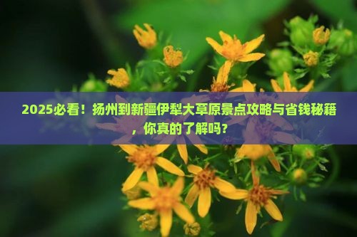 扬州到新疆伊犁大草原景点