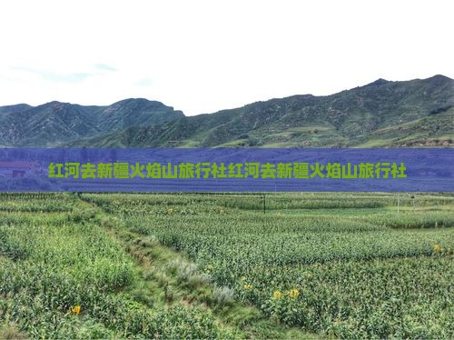 红河去新疆火焰山旅行社