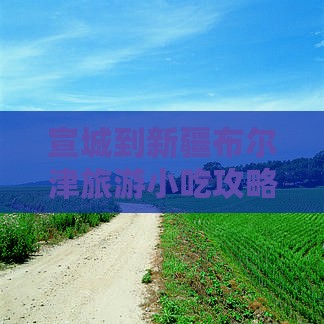 宣城到新疆布尔津旅游小吃