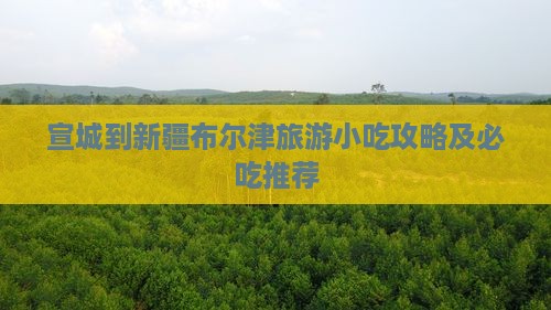 宣城到新疆布尔津旅游小吃