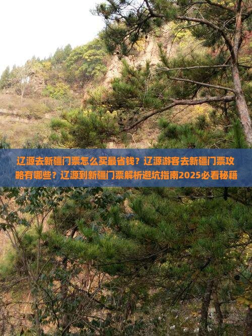 辽源去新疆门票